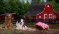 dr dolittle 3-avi_1000_315.jpg